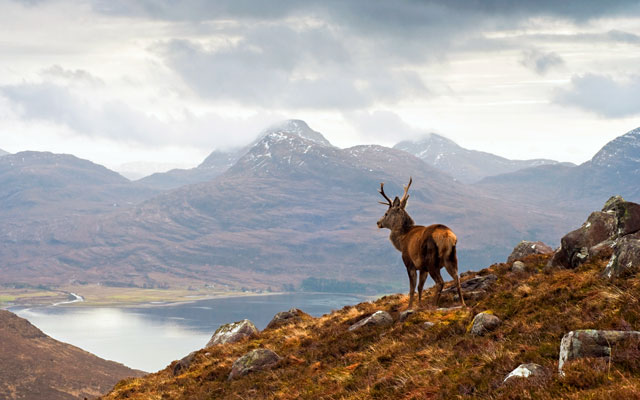 The Highlands of Scotland