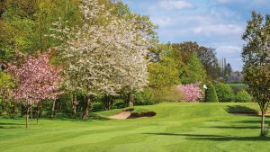 9 hole golf course - Nailcote Hall Hotel, Warwickshire