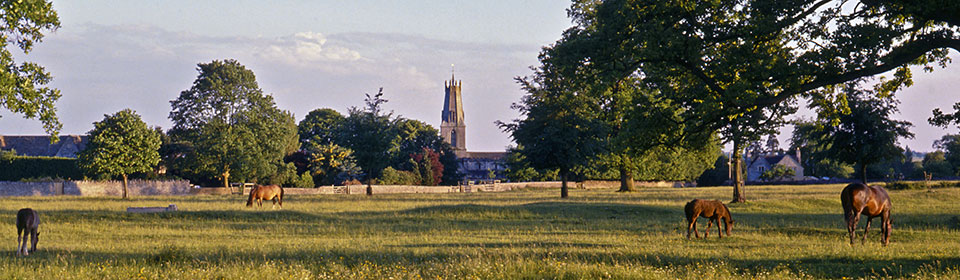 Minchinhampton Common