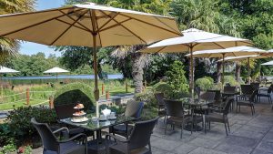 Afternoon tea served on the terrace overlooking the pond - Frensham Pond Country House Hotel & Spa, Farnham