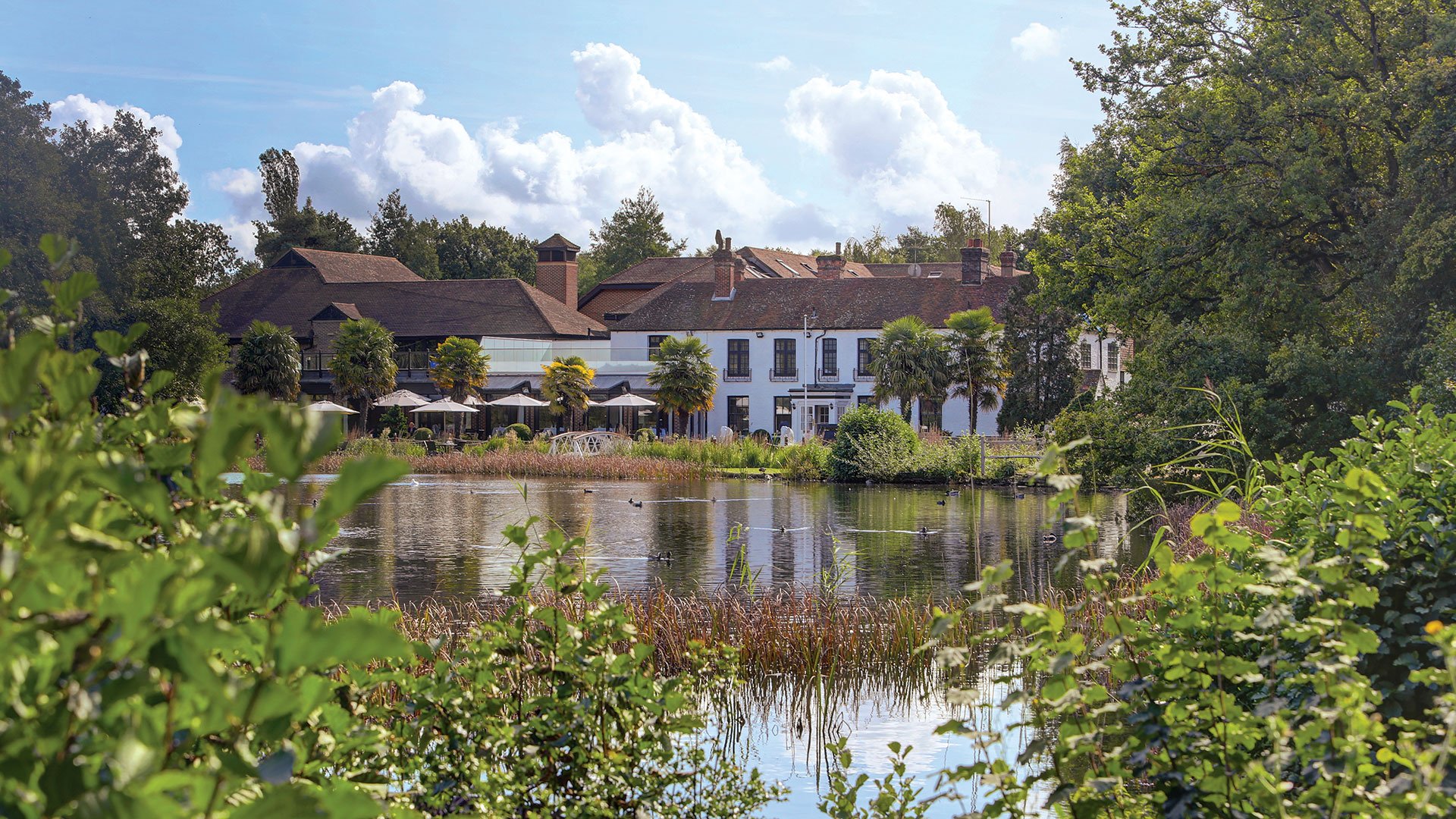 View of the hotel from across the pond - Frensham Pond Country House Hotel & Spa, Farnham