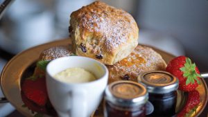 Freshly baked scones with jam and clotted cream - Hythe Imperial Hotel, Spa & Golf, Hythe, Kent