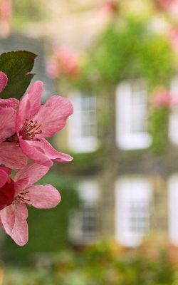 Spring Foliage - Whitley Hall Hotel, Sheffield