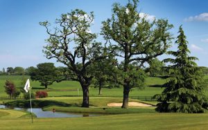 Mature trees on the golf course - Nailcote Hall Hotel, Golf & Country Club, WarwickshireHotel