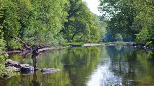 Fly fishing on the River Usk - Gliffaes Country House Hotel, Brecon Beacons