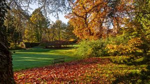 The grounds of the hotel in the Autumn foliage - Gliffaes Country House Hotel, Brecon Beacons