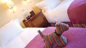 Deluxe twin room - Ilsington Country House Hotel & Spa, Dartmoor