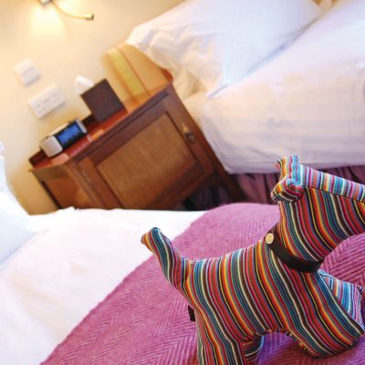 Deluxe twin room - Ilsington Country House Hotel & Spa, Dartmoor