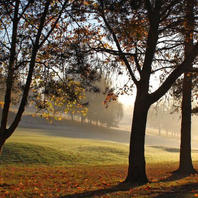 Sunrise through the trees across the golf course - Stoke by Nayland Hotel, Golf & Spa