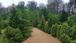 The lush foliage of the gardens - Tre-Ysgawen Hall Hotel & Spa, Isle of Anglesey