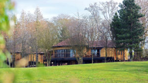 Treehouse exterior shot amongst the trees - Ramside Hall Hotel, Durham