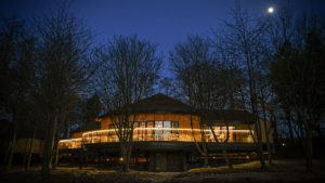 The treehouse lit up at night - Ramside Hall Hotel, Durham