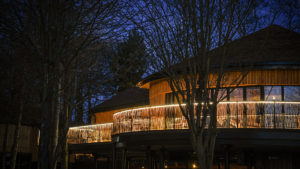 The treehouse lit up at night - Ramside Hall Hotel, Durham