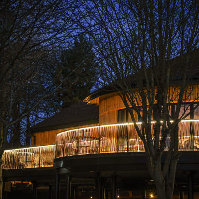 The treehouse lit up at night - Ramside Hall Hotel, Durham