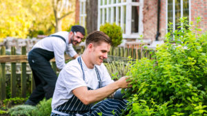 The chefs picking fresh herbs from the garden - Deans Place Hotel, Alfriston