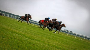 The Newmarket Races - The Jockey Club Rooms, Newmarket