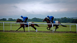 The Newmarket Races - The Jockey Club Rooms, Newmarket