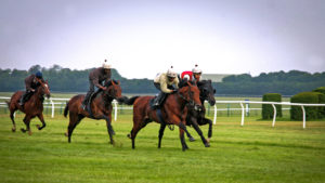 Horse racing - The Jockey Club Rooms, Newmarket
