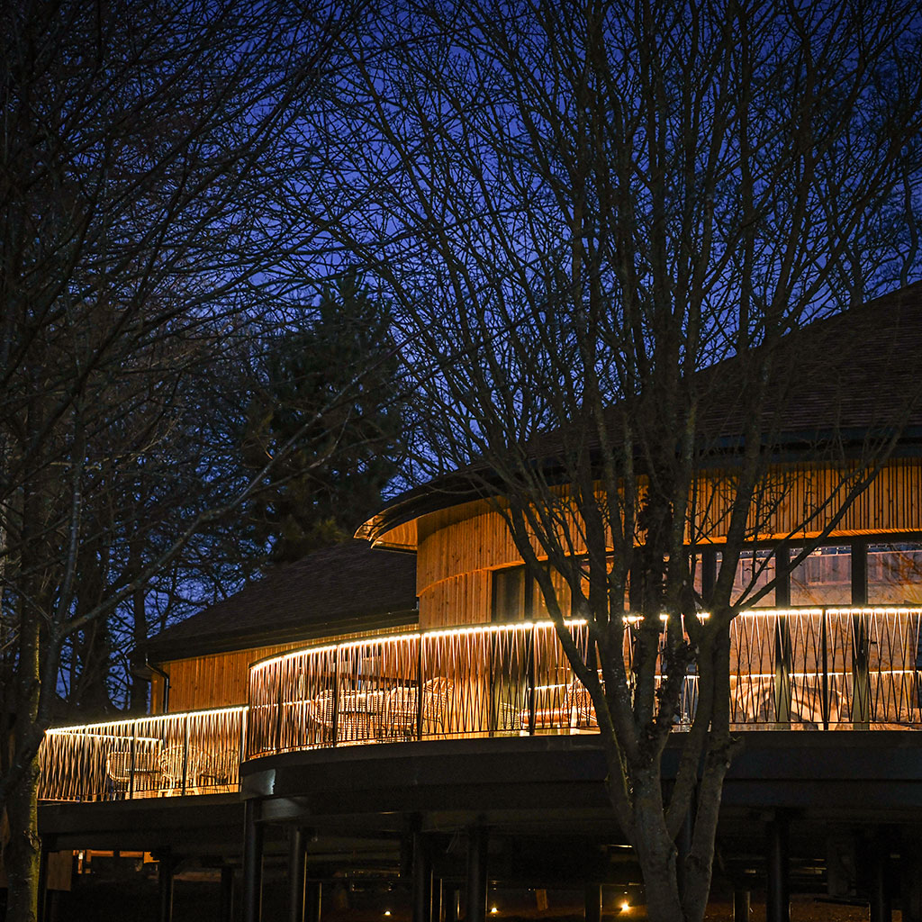 Treehouse lit up at night - Ramside Hall Hotel, Durham