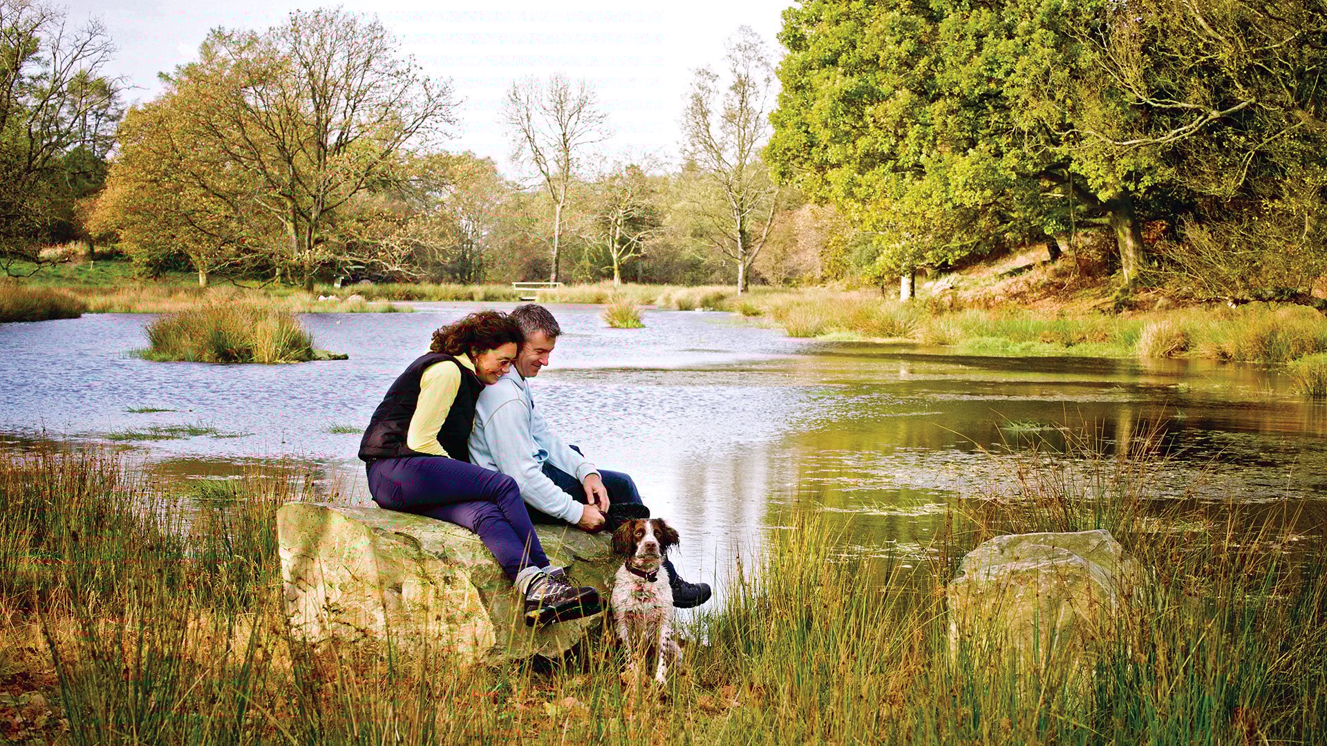 The wild boar, Windermere, private woodland tarns - Classic British Hotels