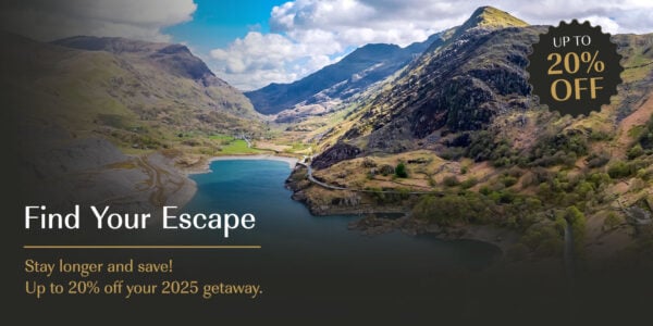 Find Your Escape